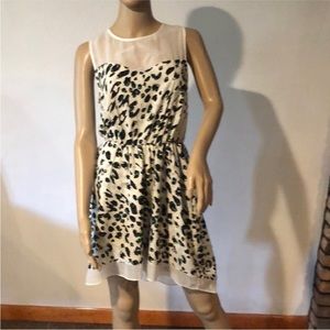 NWT W118 by Walter Baker Tazia Leopard Dress Medium